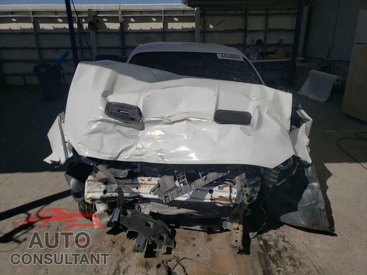 FORD MUSTANG 2019 - 1FA6P8CF1K5194568