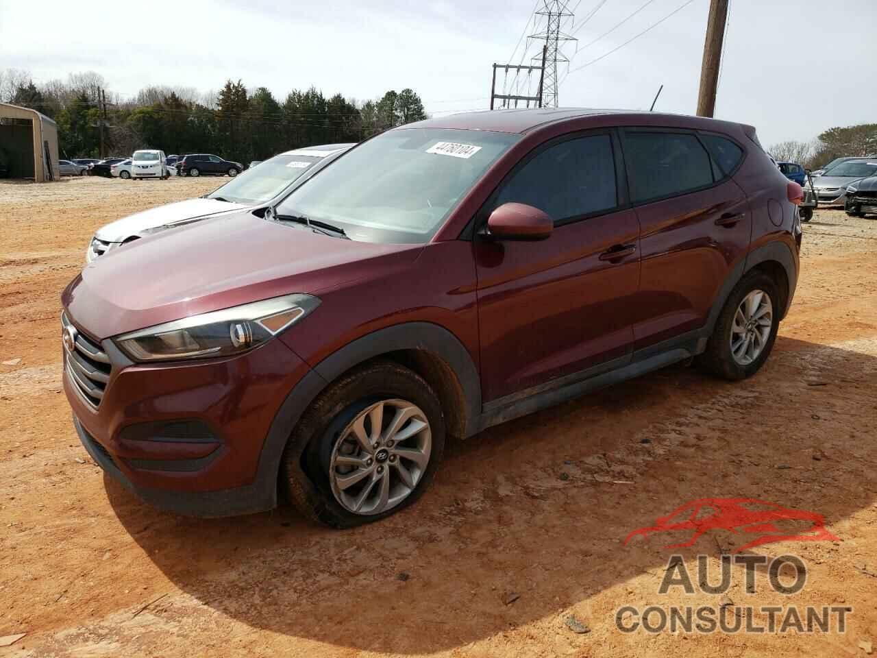 HYUNDAI TUCSON 2016 - KM8J23A43GU201570