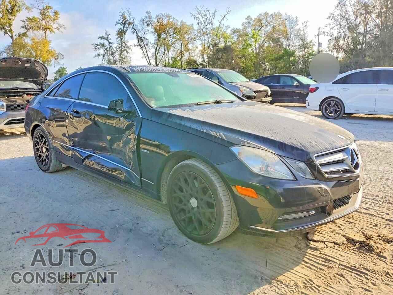 MERCEDES-BENZ E-CLASS 2012 - WDDKJ5KB3CF137541