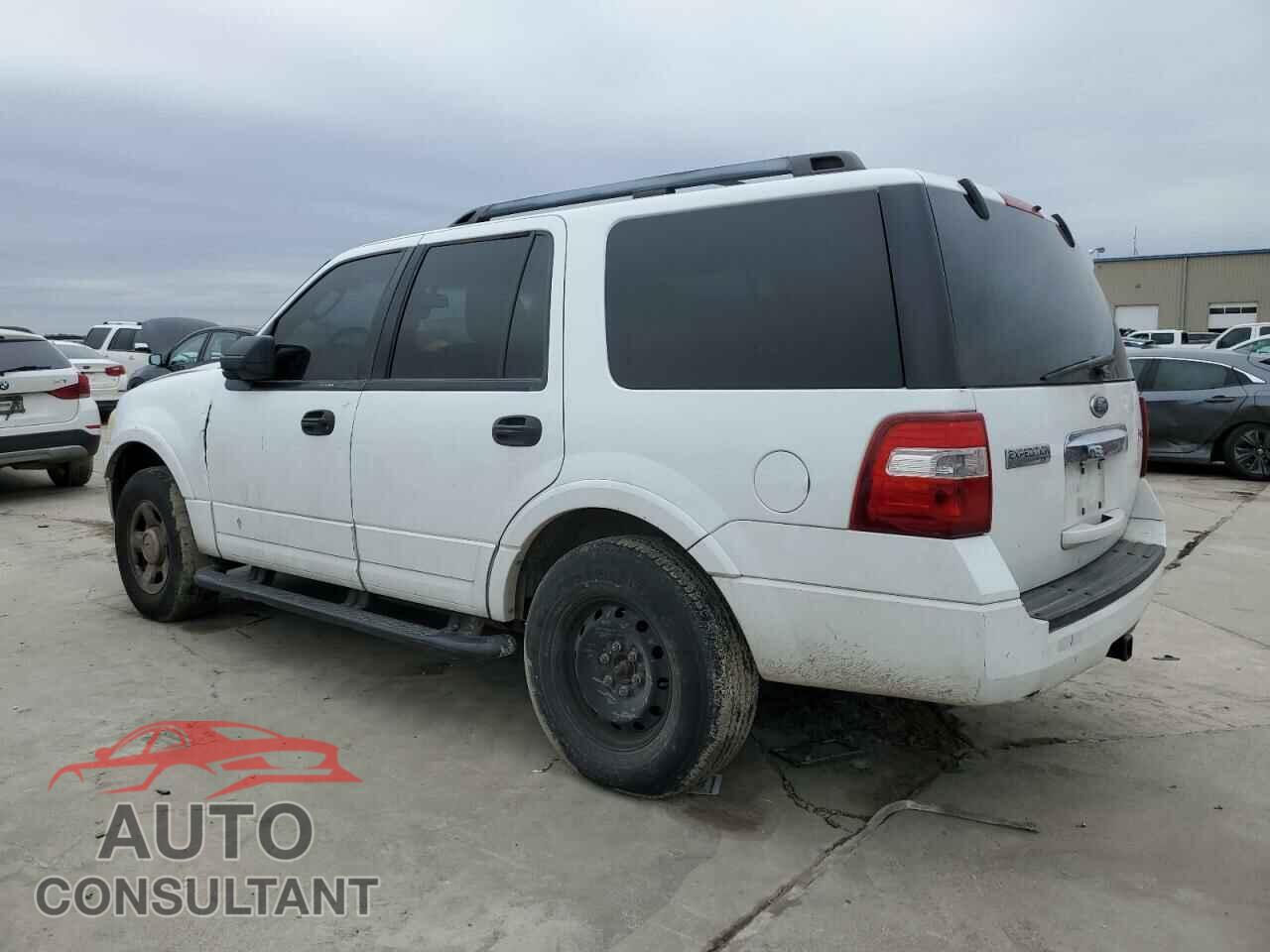 FORD EXPEDITION 2009 - 1FMFU15569EB20163