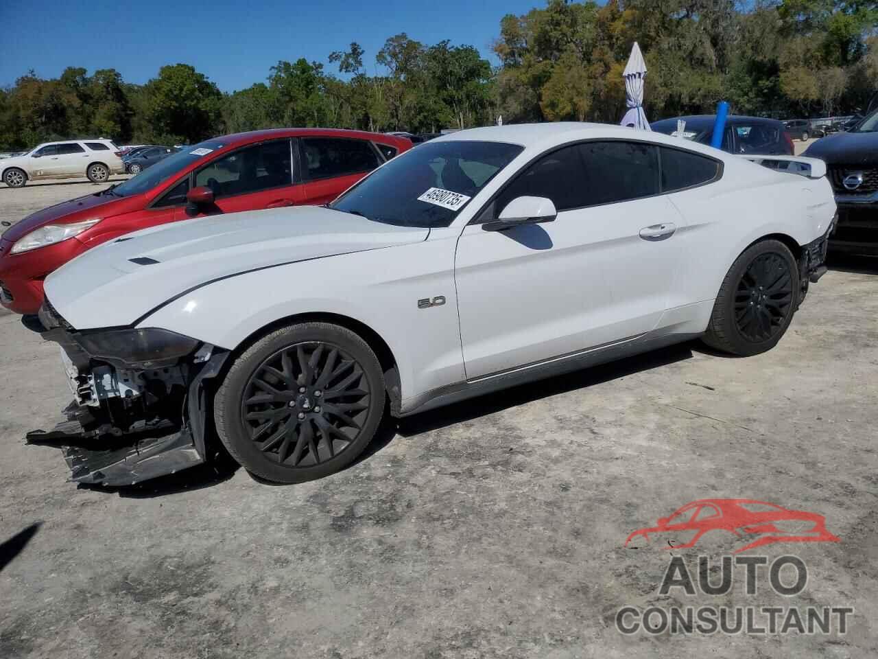 FORD MUSTANG 2019 - 1FA6P8CFXK5167322
