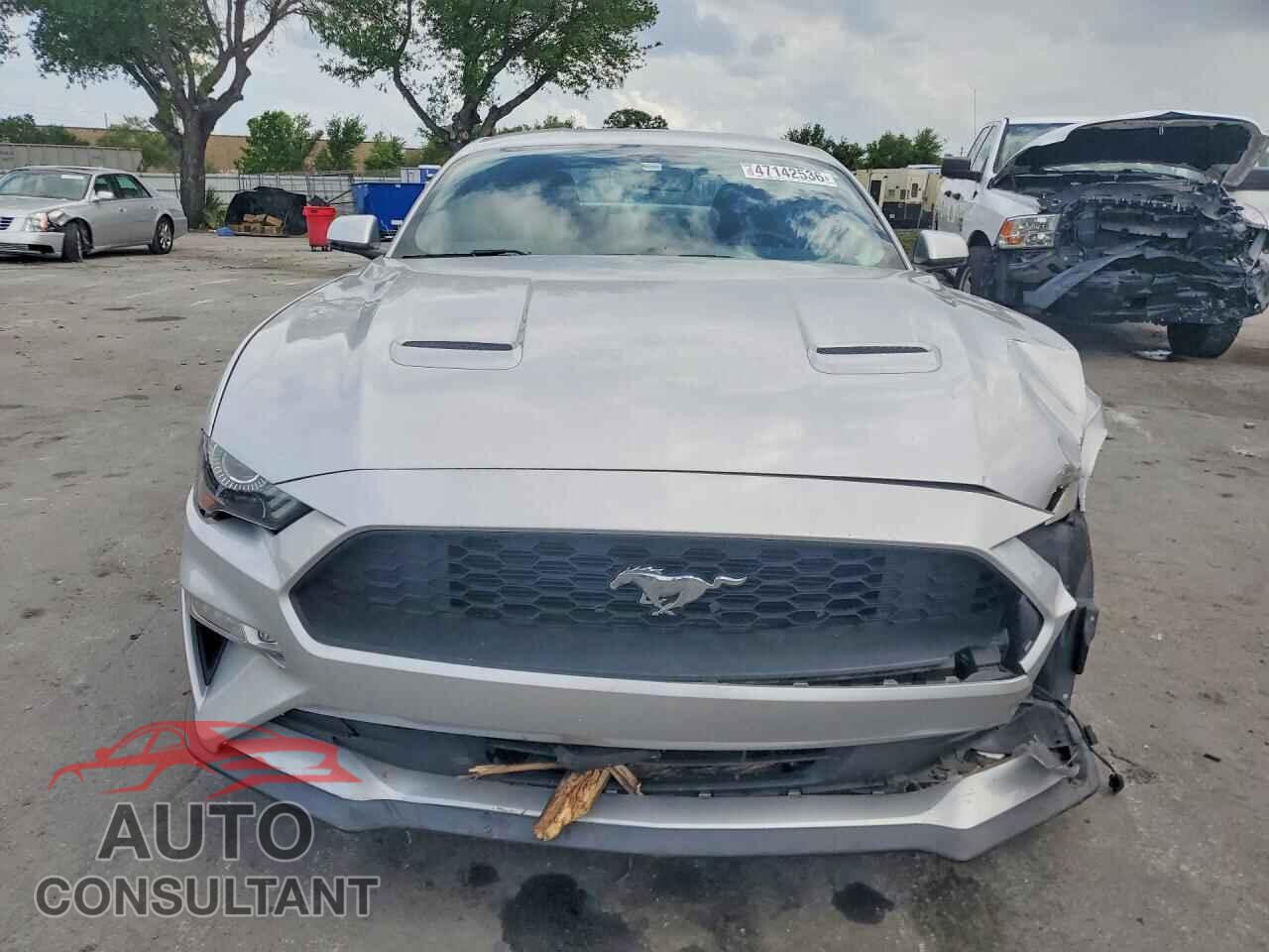 FORD ALL Models 2019 - 1FA6P8TH5K5124511