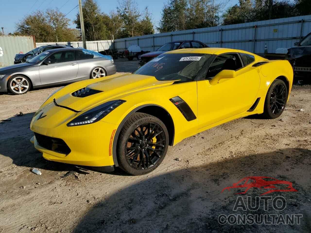 CHEVROLET CORVETTE 2019 - 1G1YU2D67K5602006