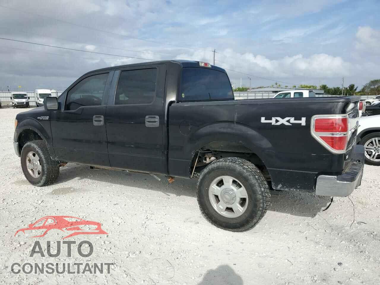 FORD F-150 2010 - 1FTEW1E85AFC11248