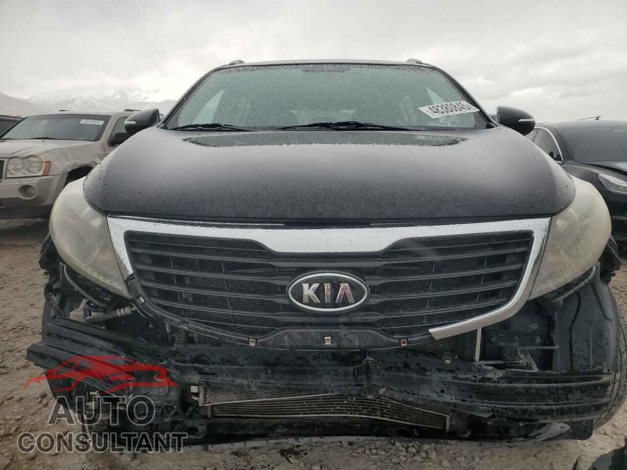 KIA SPORTAGE 2011 - KNDPC3A21B7021697