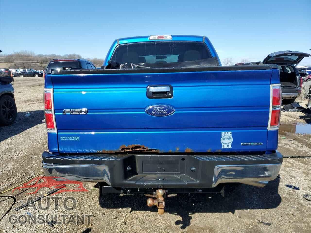 FORD F-150 2013 - 1FTEW1CM4DFC15215