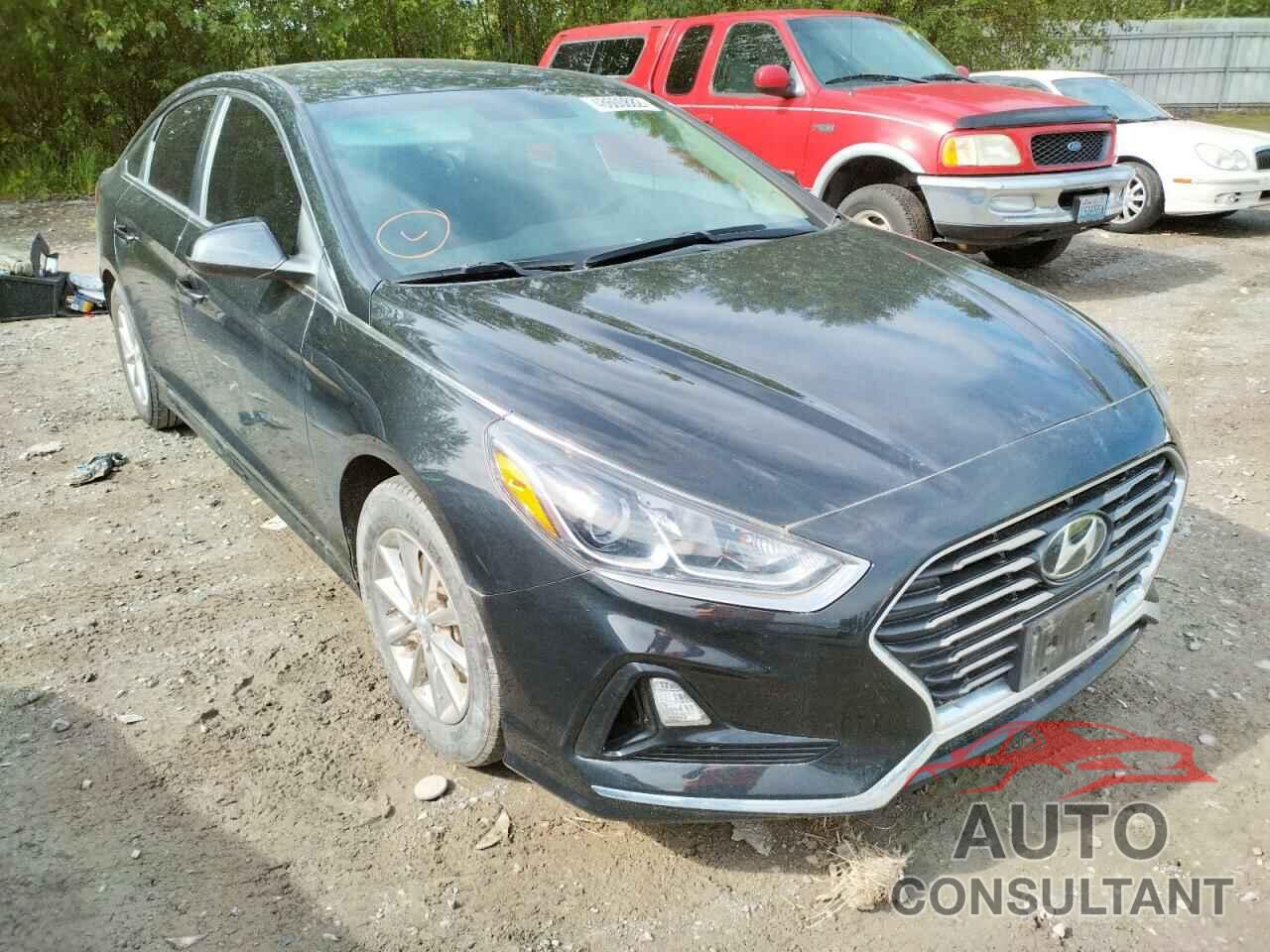 HYUNDAI SONATA 2019 - 5NPE24AF8KH758345