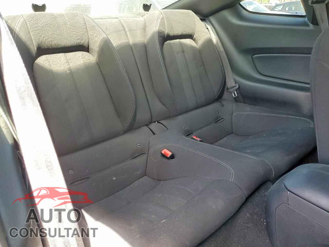 FORD MUSTANG 2019 - 1FA6P8CF6K5111572