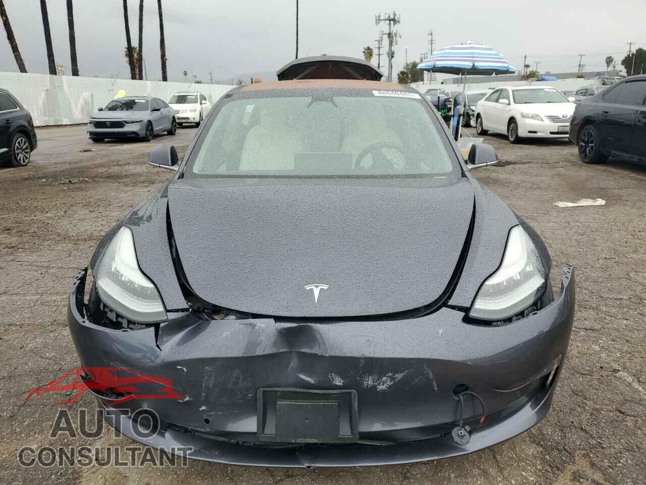 TESLA MODEL 3 2018 - 5YJ3E1EA0JF168505