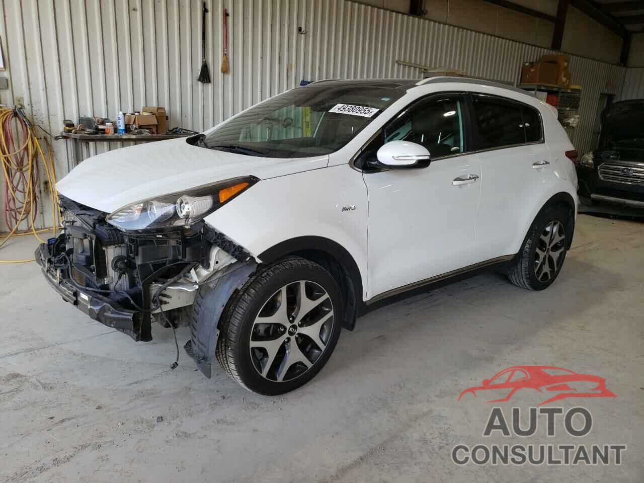 KIA SPORTAGE 2017 - KNDPRCA65H7093478