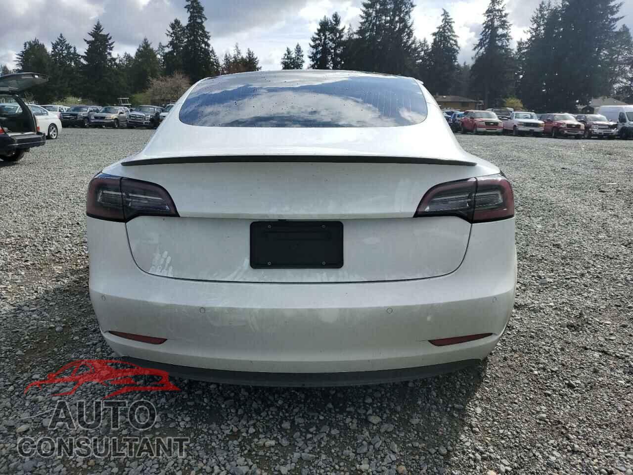 TESLA MODEL 3 2020 - 5YJ3E1EC8LF736262