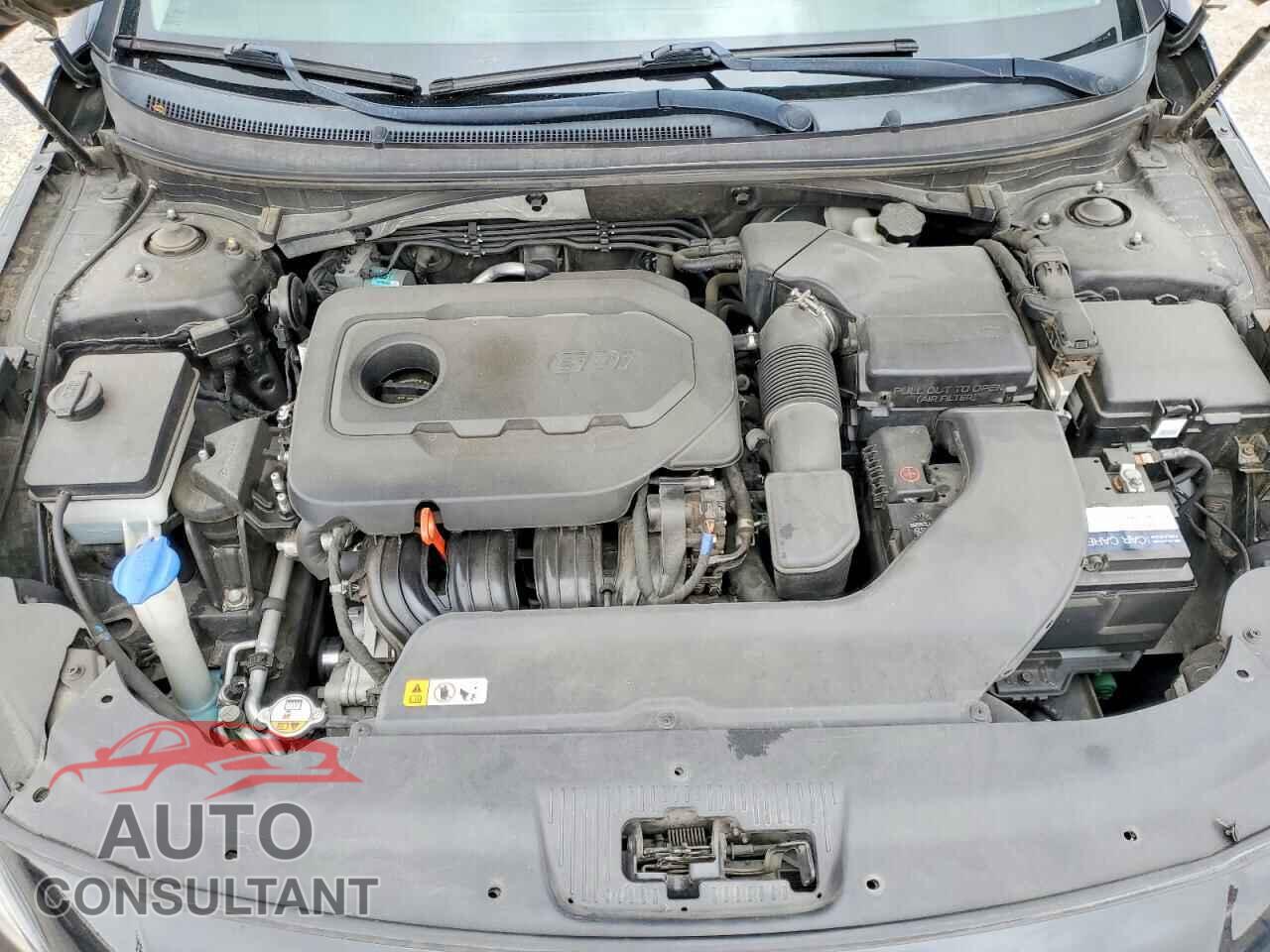 HYUNDAI SONATA 2017 - 5NPE34AF6HH511122