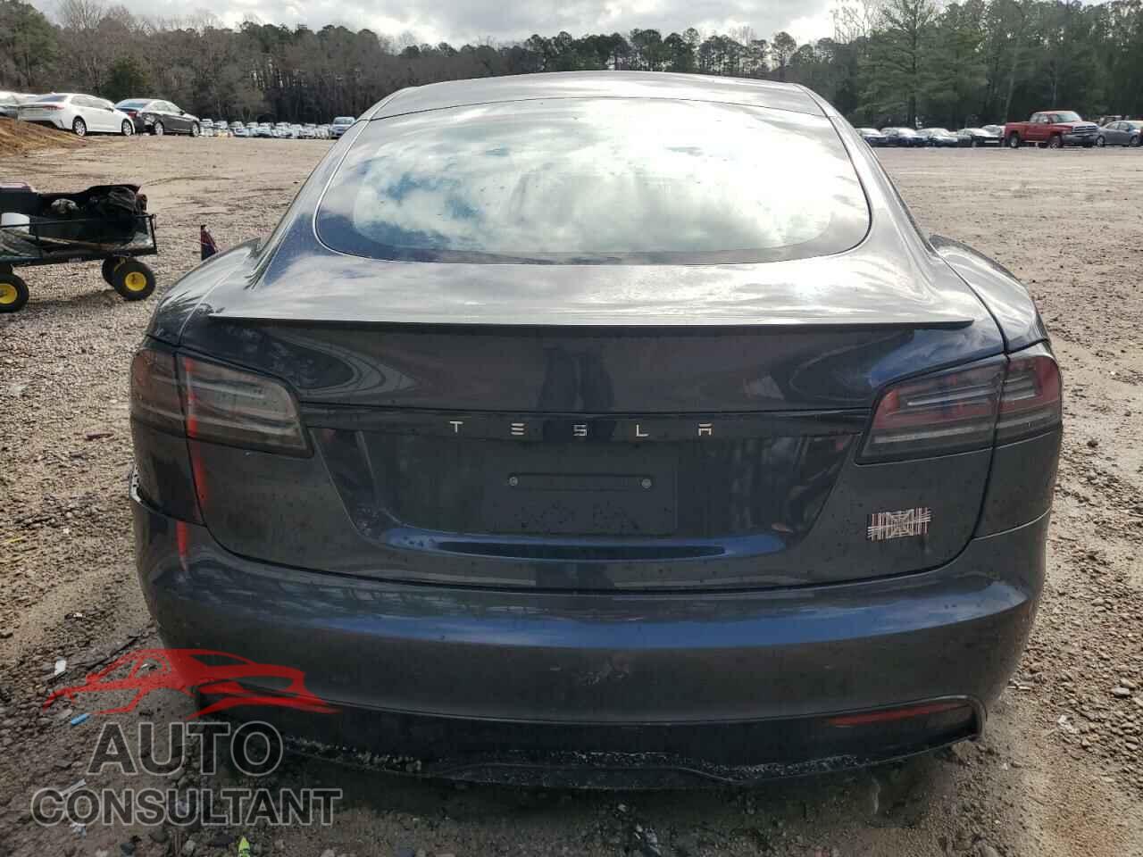 TESLA MODEL S 2024 - 5YJSA1E67RF533518