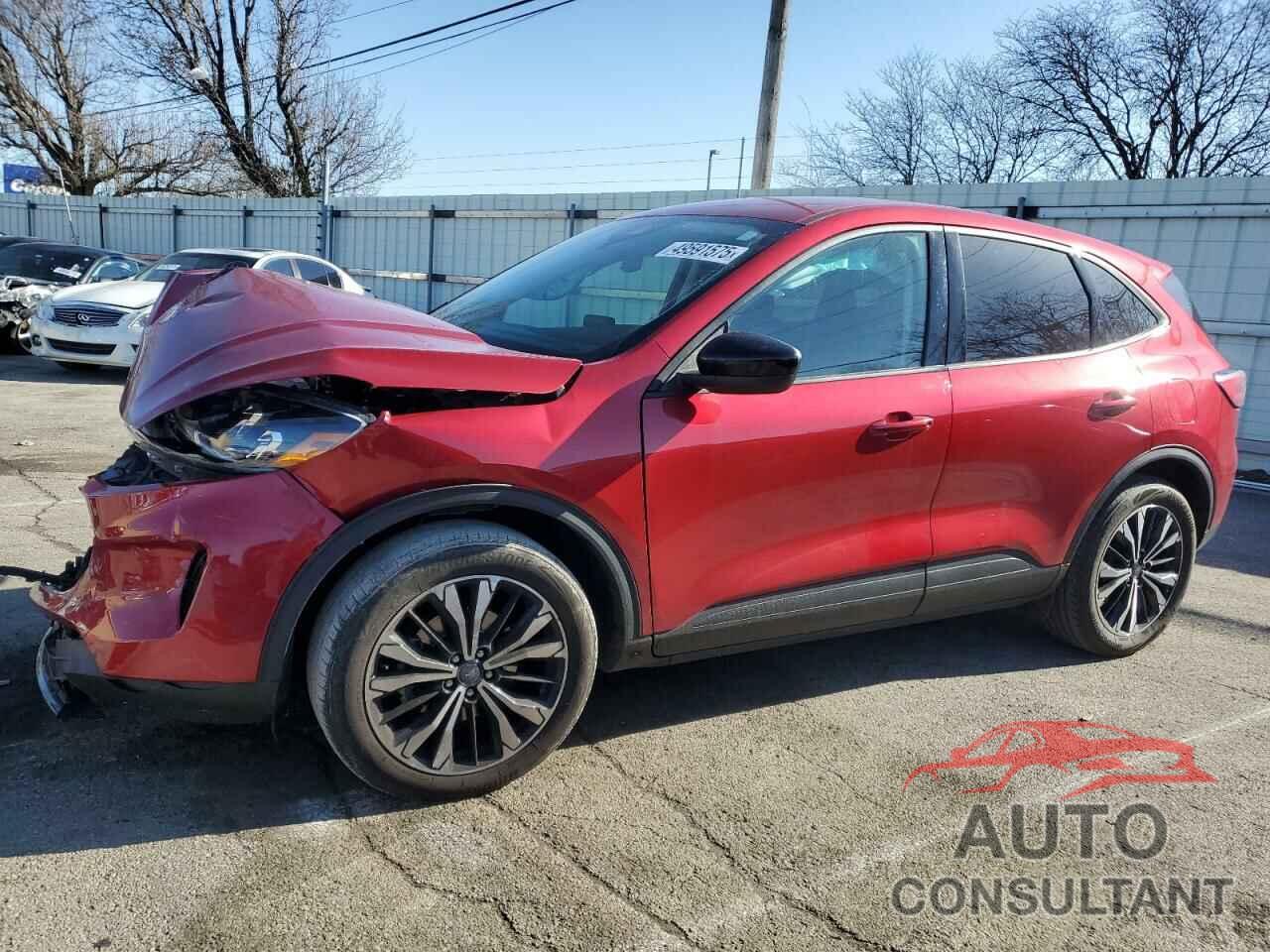 FORD ESCAPE 2022 - 1FMCU0G62NUB16145