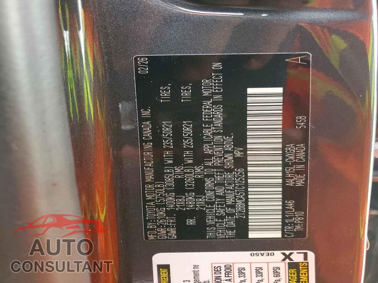 LEXUS UNKNOWN 2026 - 2T2BBMCA5TC125256
