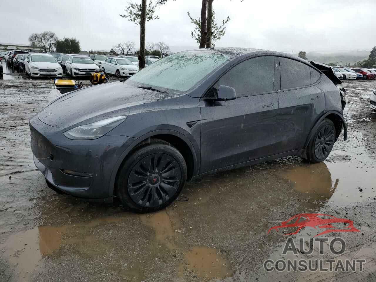 TESLA MODEL Y 2024 - 7SAYGDEE8RF060376