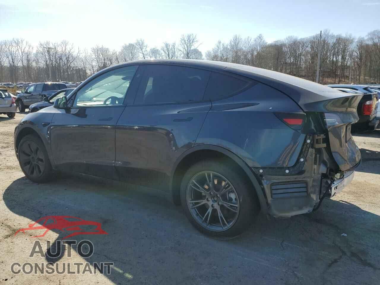 TESLA MODEL Y 2024 - 7SAYGDED3RF198205