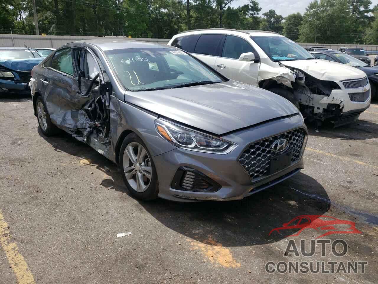 HYUNDAI SONATA 2019 - 5NPE34AF5KH786911