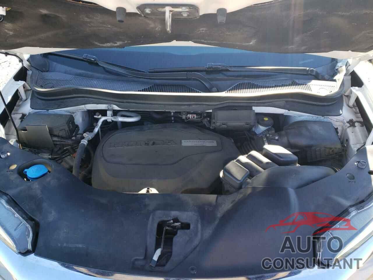 HONDA PILOT 2019 - 5FNYF6H01KB021565