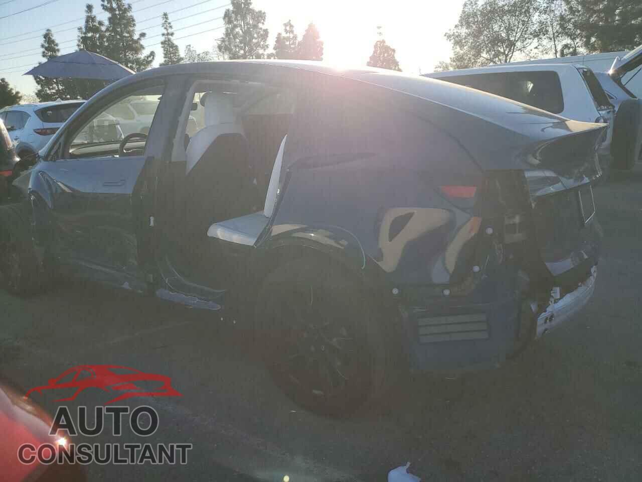 TESLA MODEL Y 2022 - 7SAYGAEE3NF409257