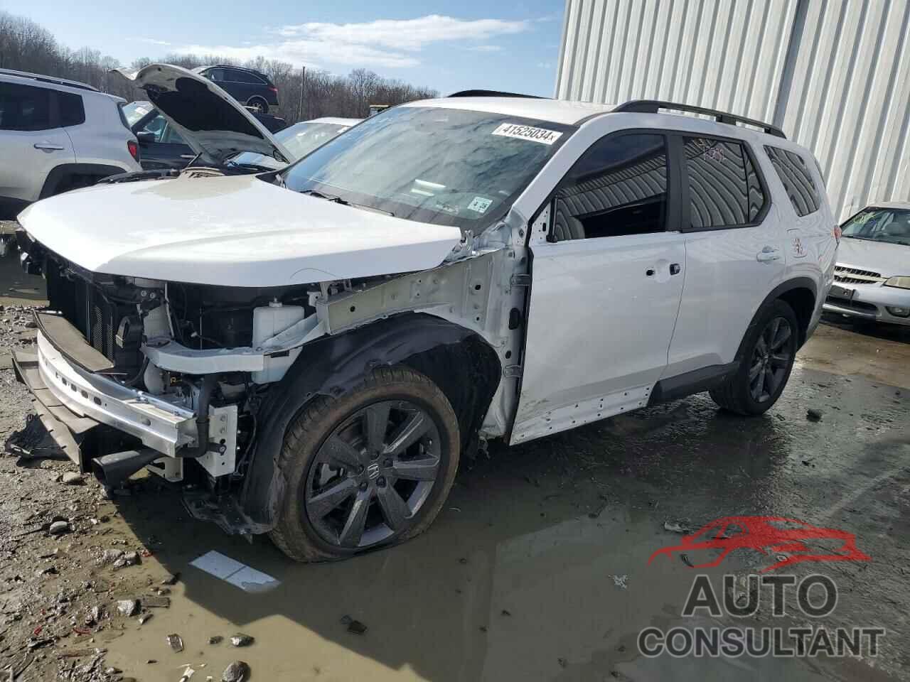 HONDA PILOT 2023 - 5FNYG1H39PB022304