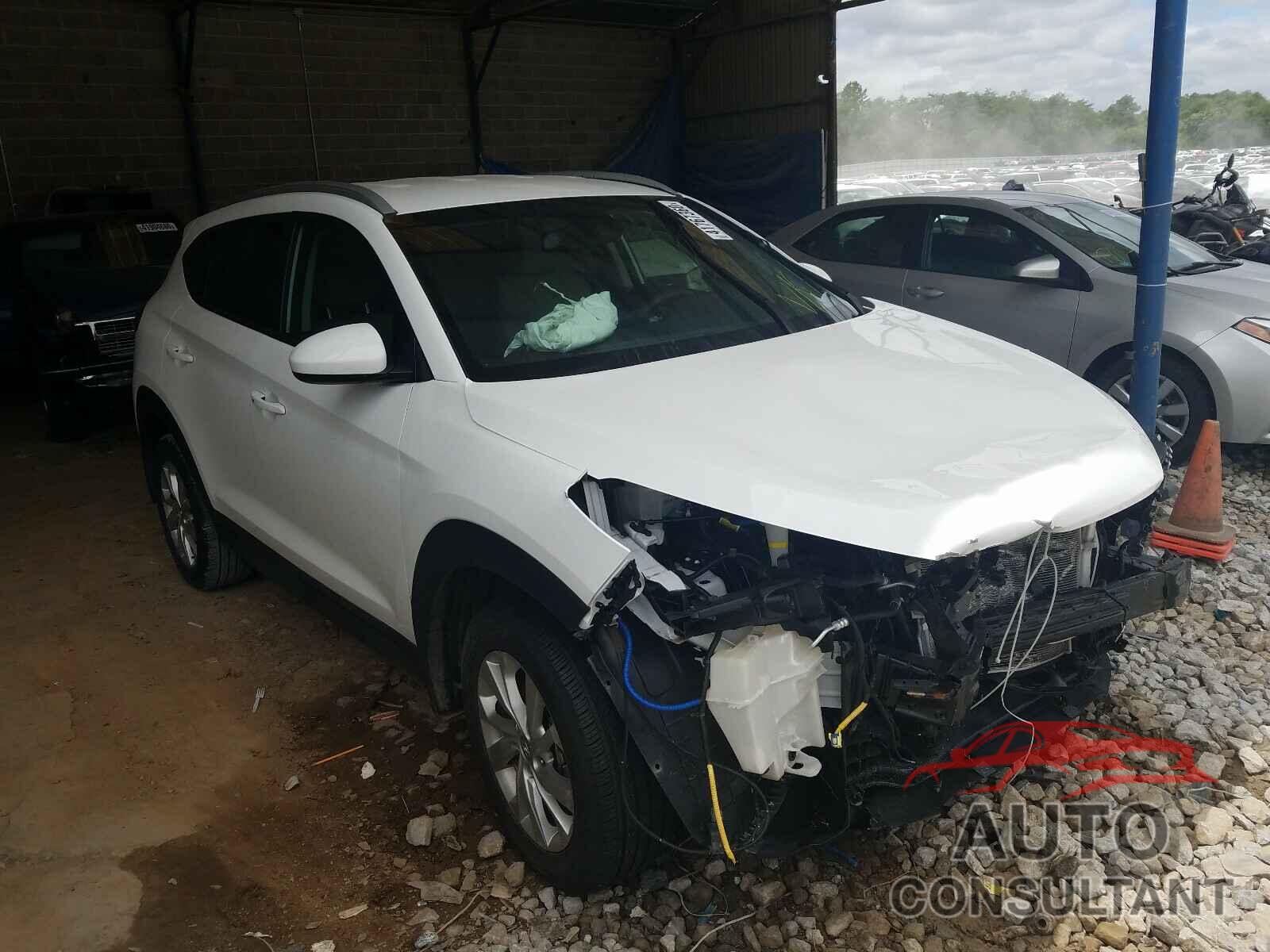HYUNDAI TUCSON 2019 - KM8J33A44KU998675