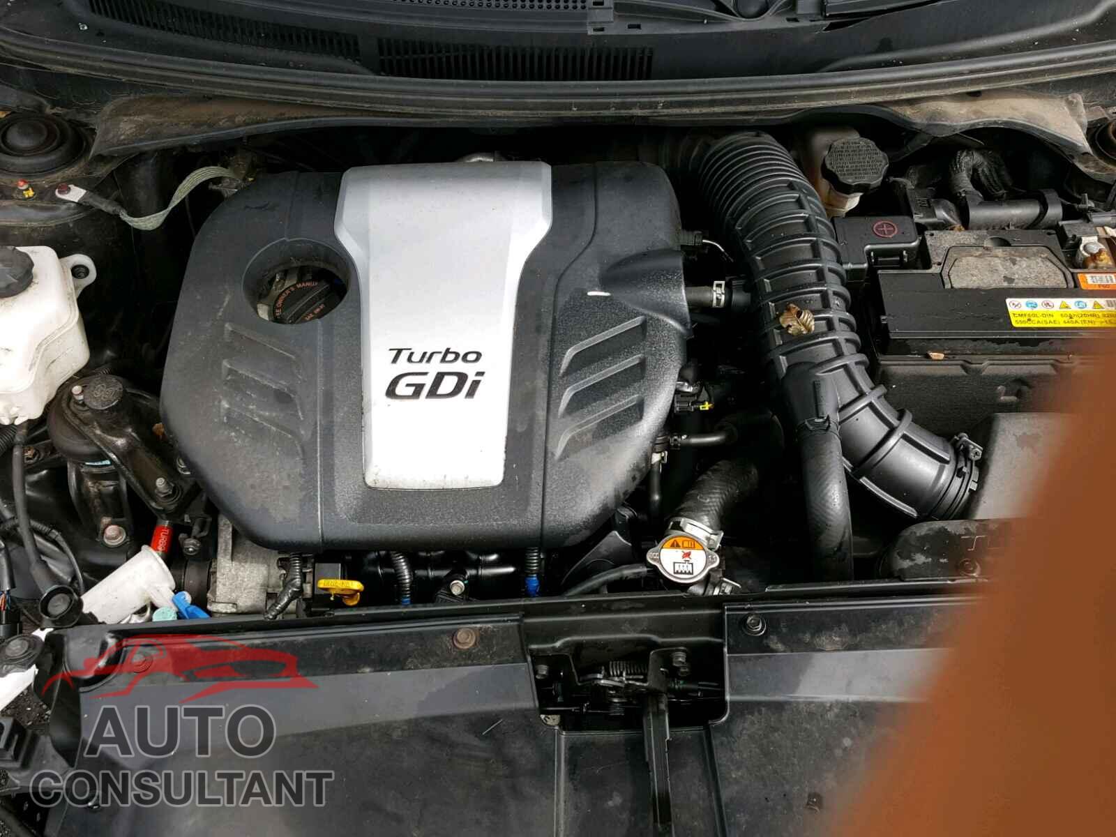 HYUNDAI VELOSTER 2016 - KMHTC6AE2GU264143