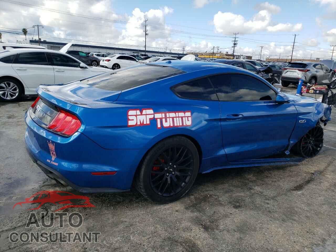 FORD MUSTANG 2019 - 1FA6P8CF7K5134875