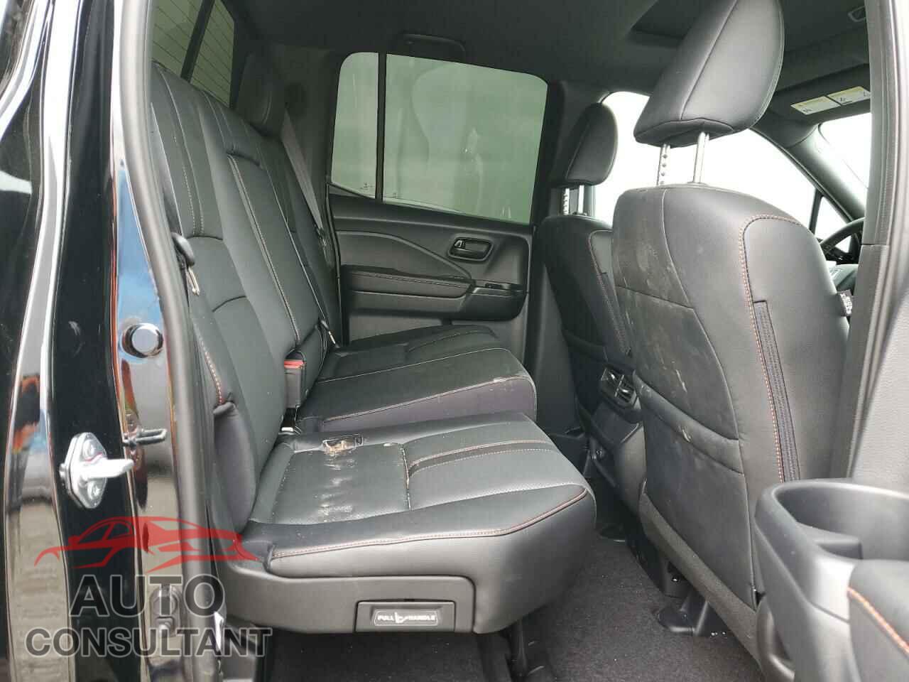HONDA RIDGELINE 2024 - 5FPYK3F66RB025775