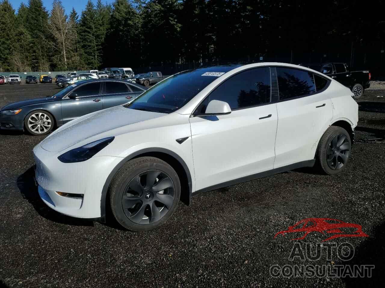 TESLA MODEL Y 2023 - 7SAYGDEE0PF683083