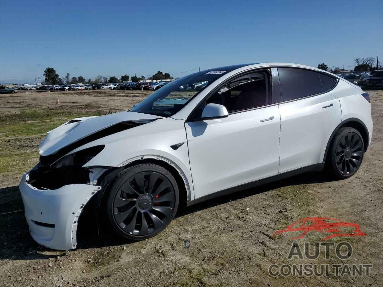 TESLA MODEL Y 2022 - 7SAYGDEF3NF459621