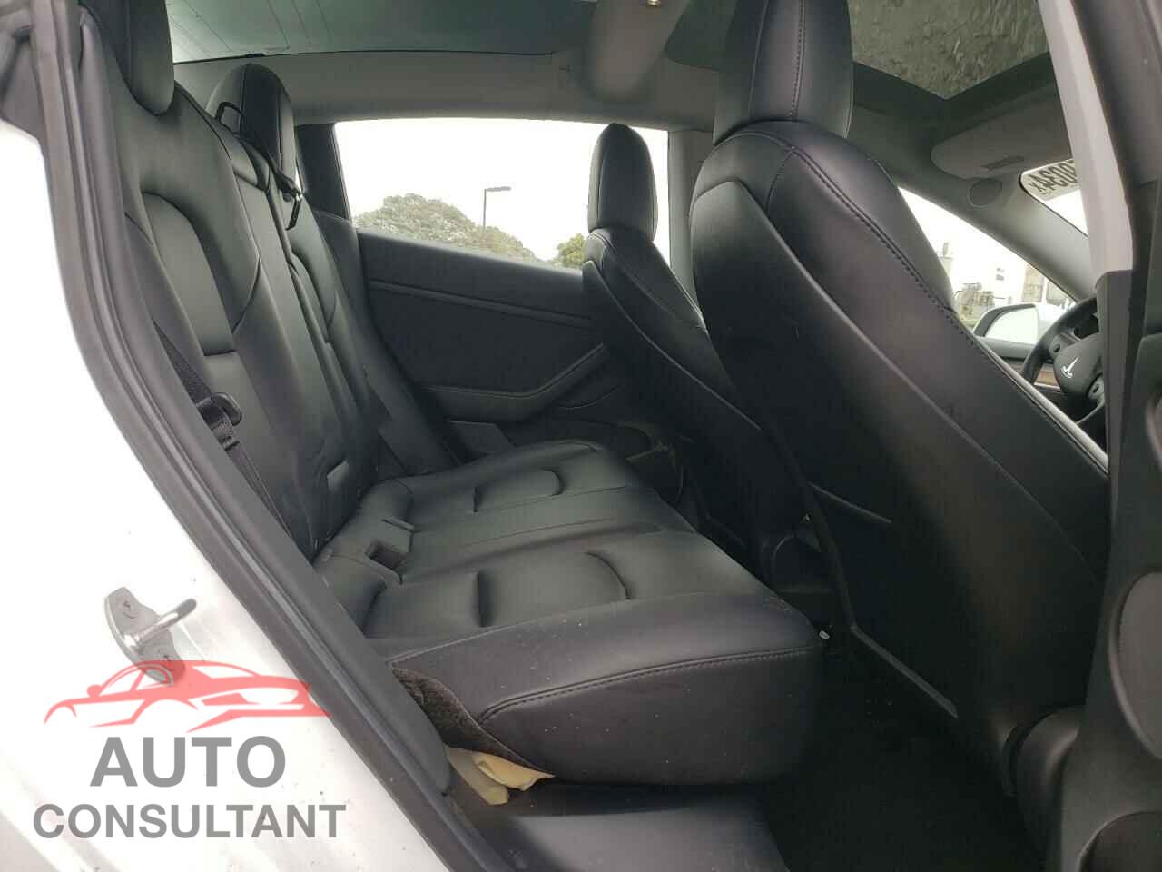 TESLA MODEL 3 2021 - 5YJ3E1EAXMF053589