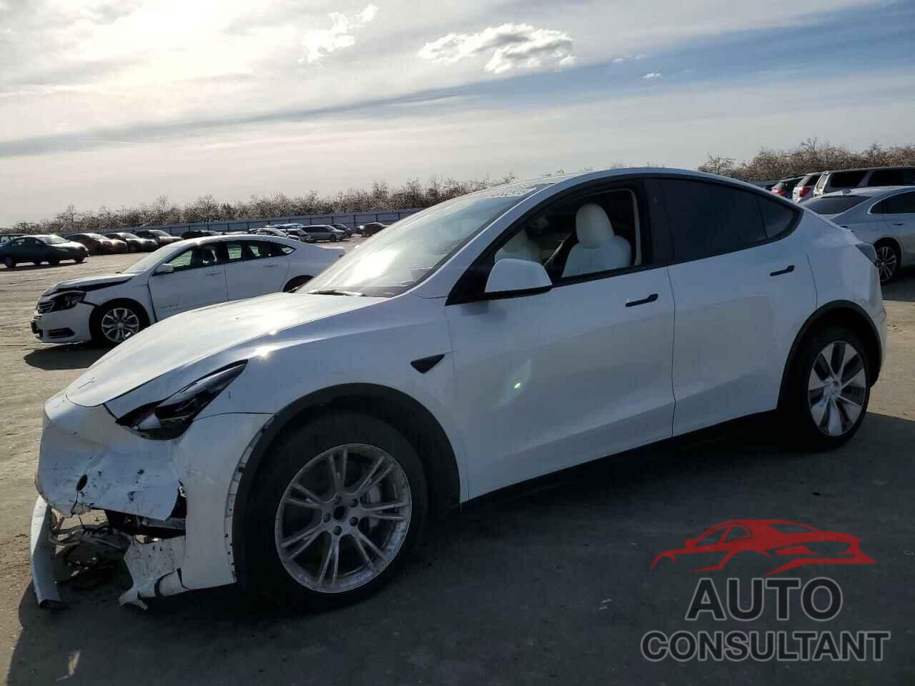 TESLA MODEL Y 2024 - 7SAYGDED4RF055859