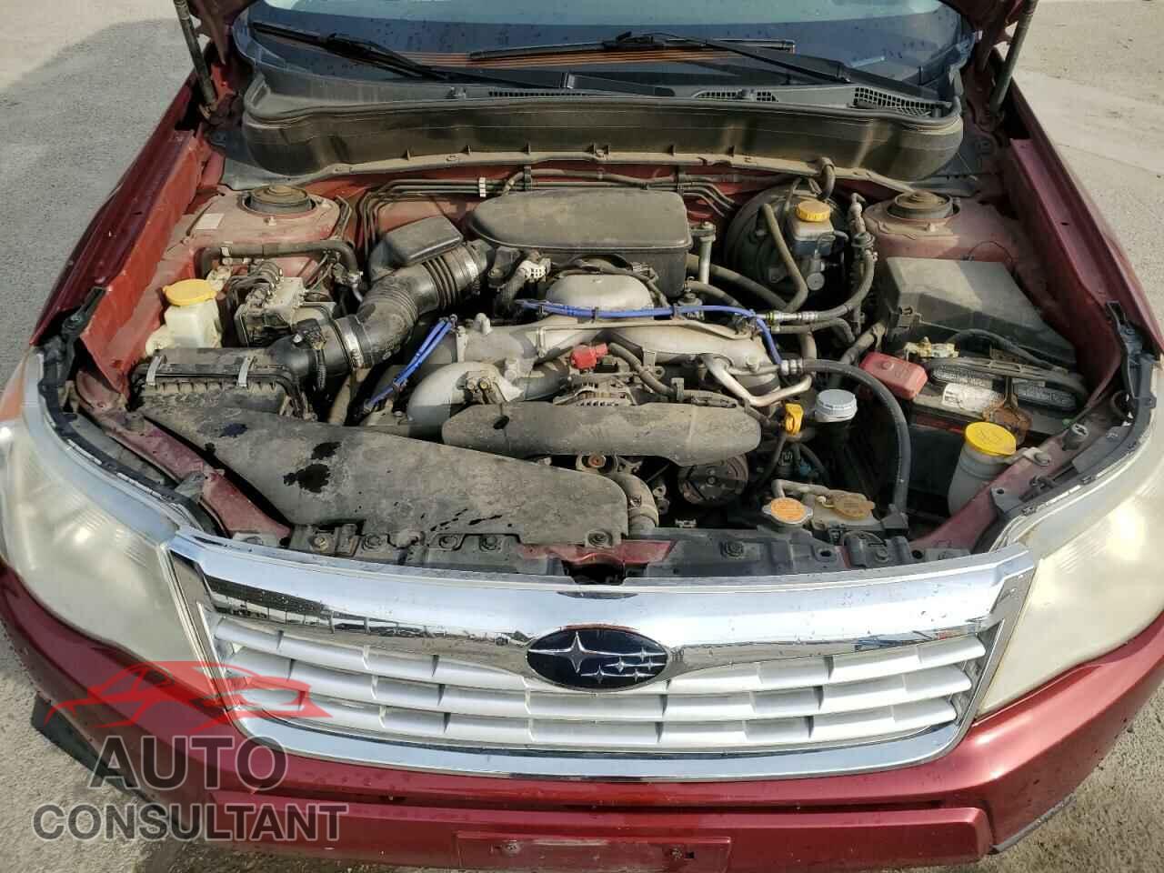 SUBARU FORESTER 2010 - JF2SH6DC9AH709829