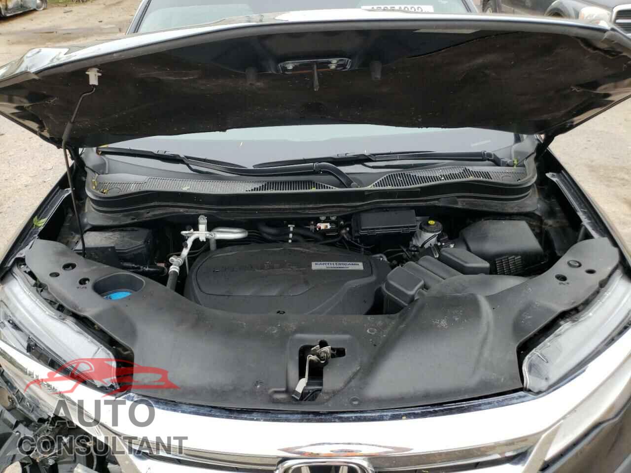 HONDA PILOT 2019 - 5FNYF6H0XKB037182