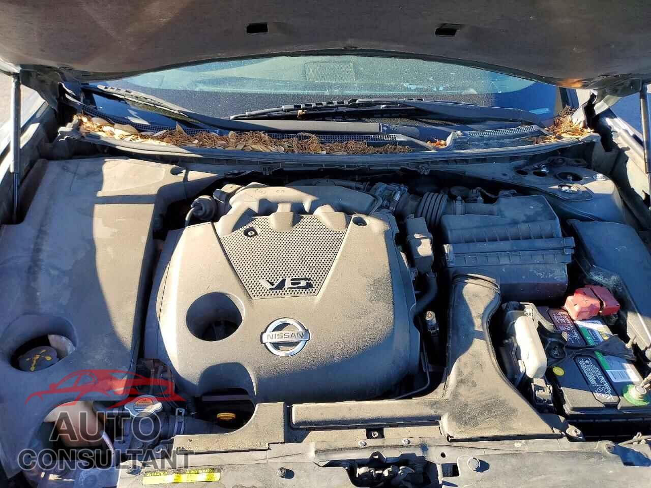NISSAN MAXIMA 2009 - 1N4AA51E39C845337