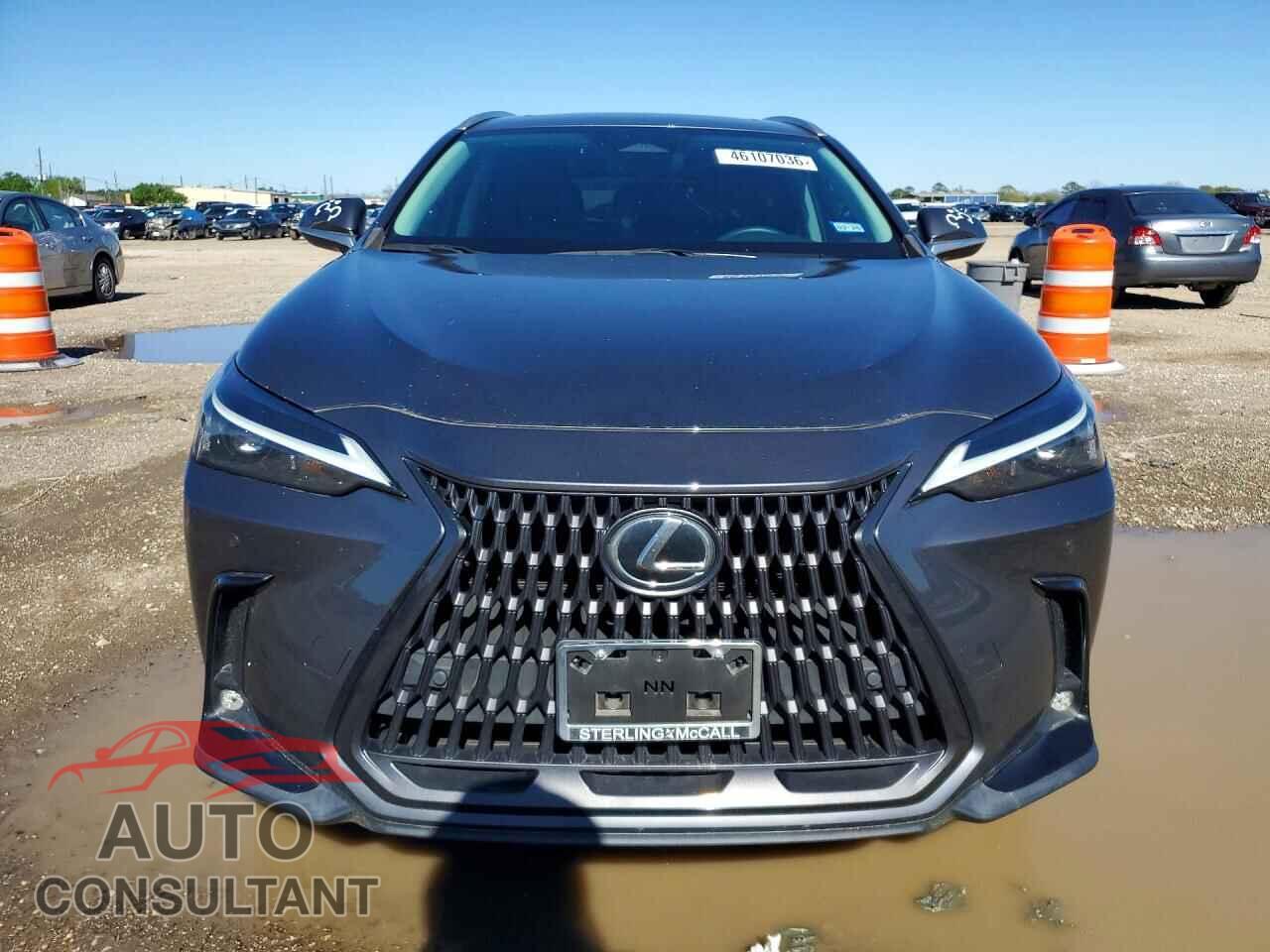LEXUS UNKNOWN 2023 - 2T2GDCAZ5PC005174
