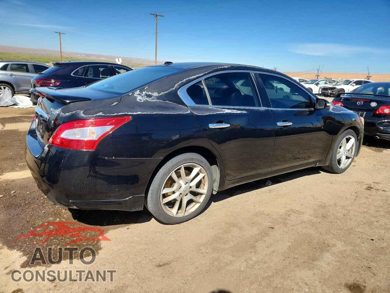 NISSAN MAXIMA 2011 - 1N4AA5AP7BC861712