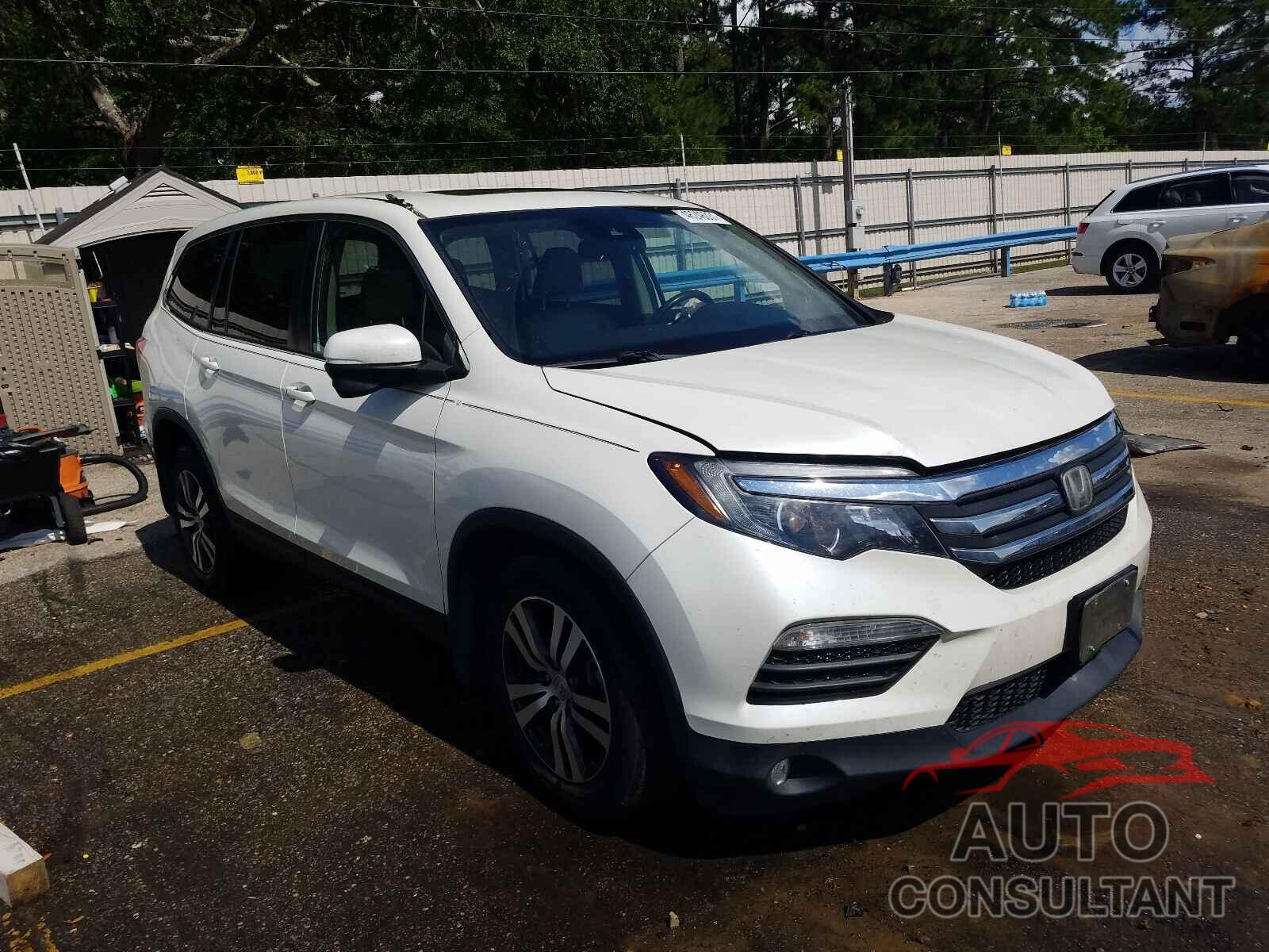 HONDA PILOT 2016 - 5FNYF5H64GB033392