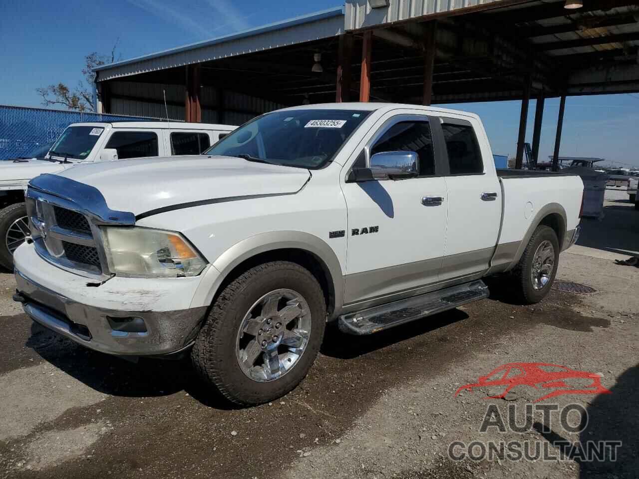 DODGE All Models 2010 - 1D7RB1GTXAS182342