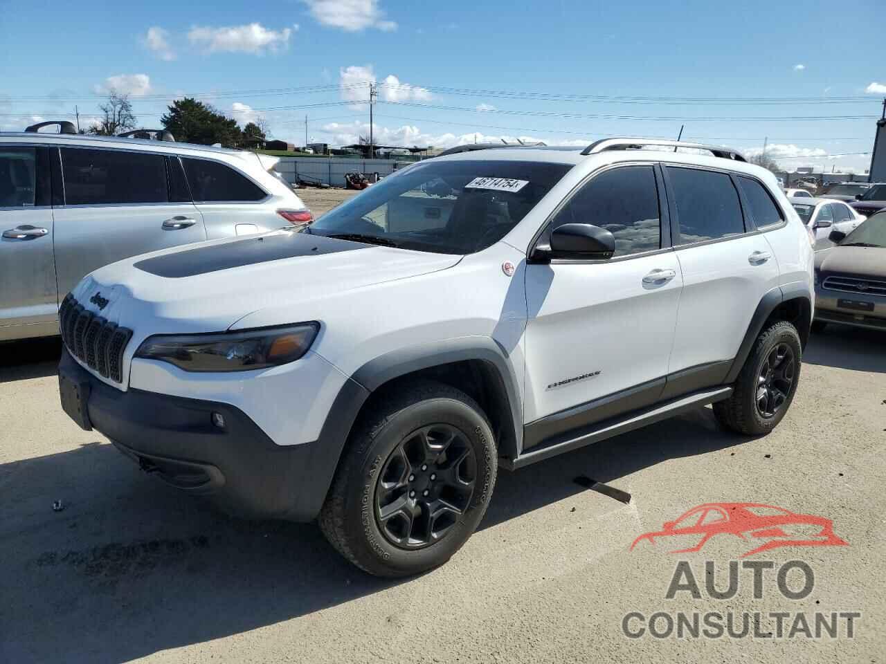 JEEP CHEROKEE 2019 - 1C4PJMBNXKD157915