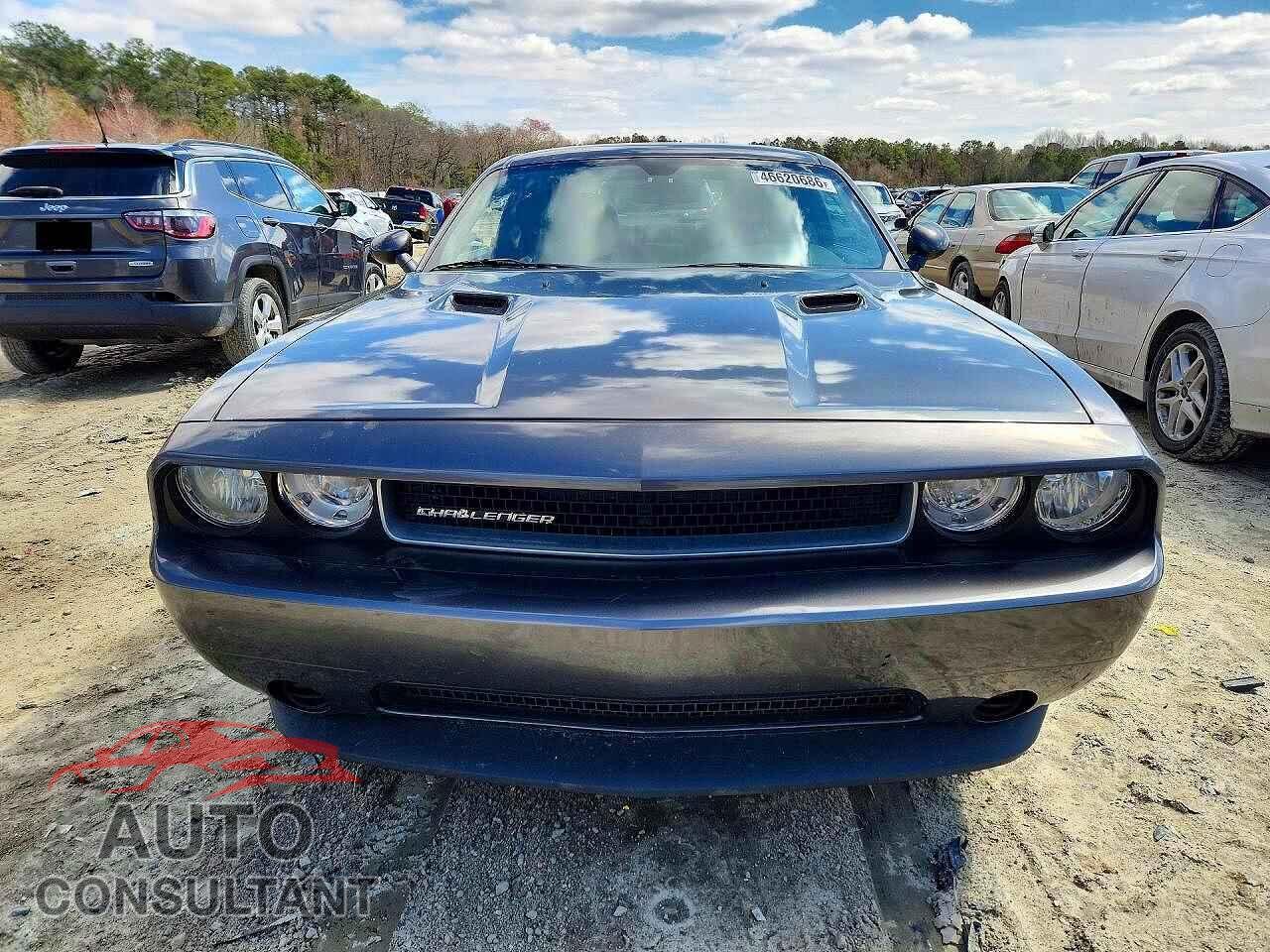 DODGE CHALLENGER 2014 - 2C3CDYAG4EH299415