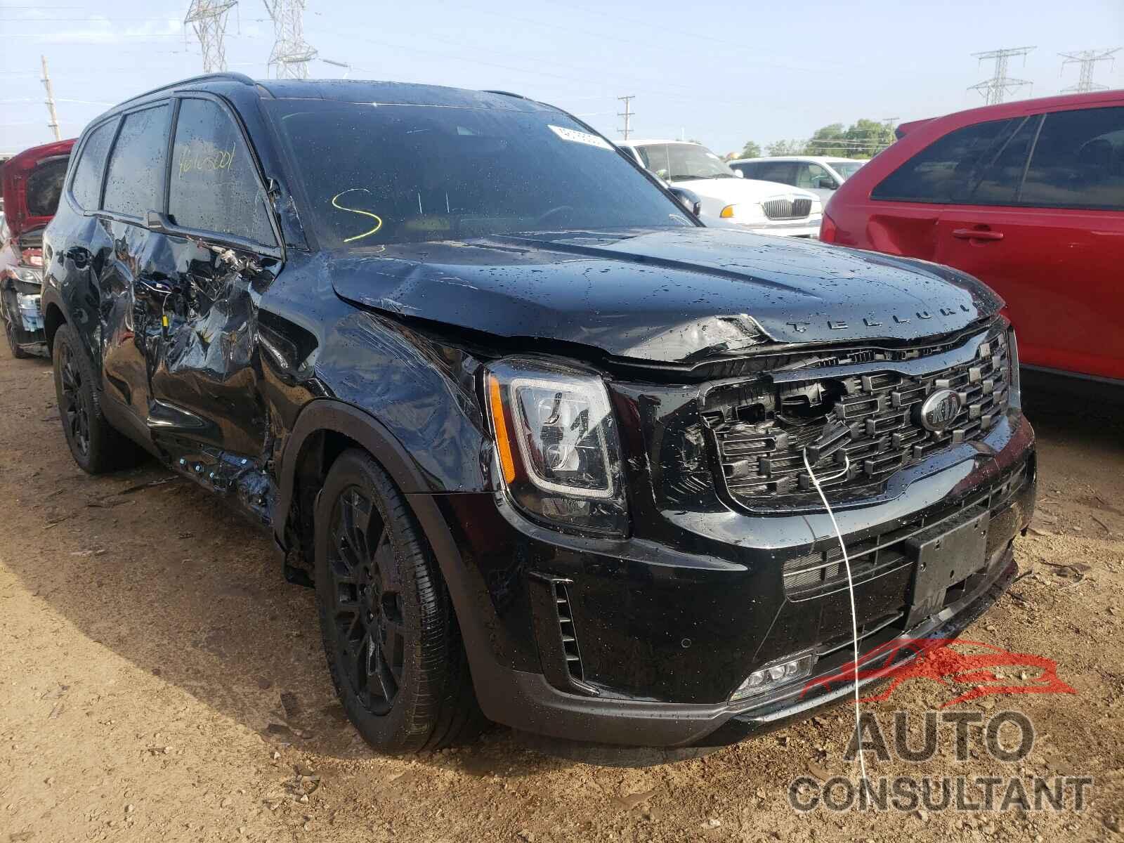 KIA TELLURIDE 2021 - 5XYP5DHCXMG101133