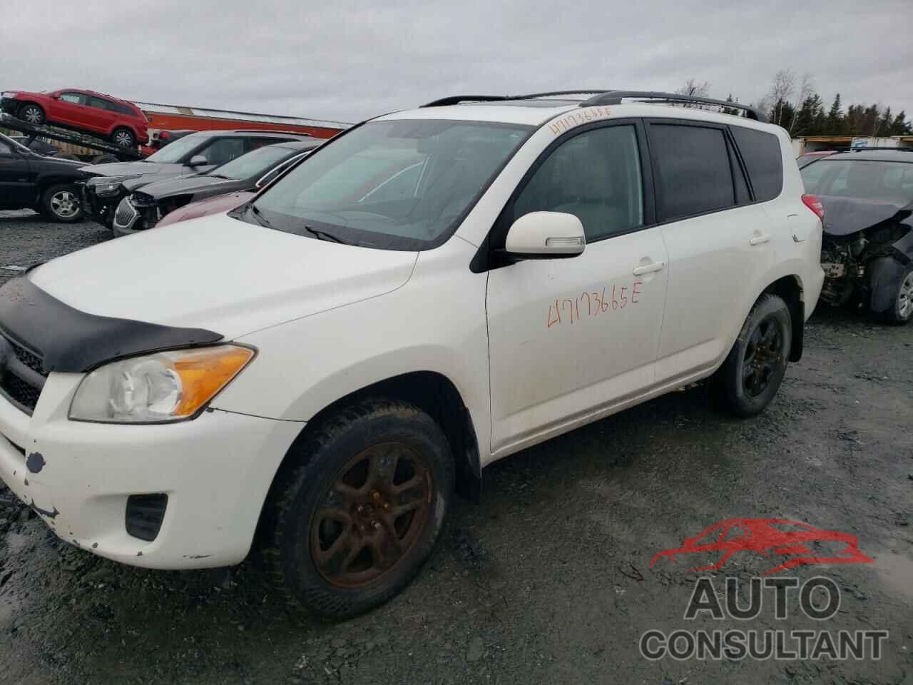 TOYOTA RAV4 2012 - 2T3BF4DV0CW238502
