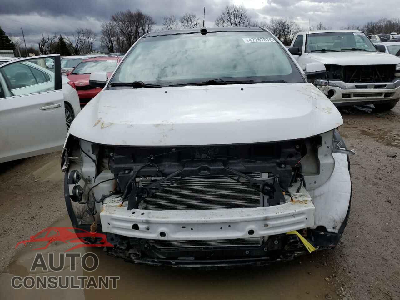 FORD EDGE 2013 - 2FMDK4JC5DBC67503
