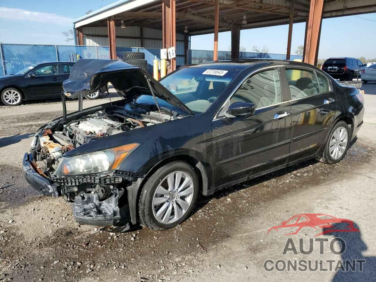 HONDA ACCORD 2011 - 1HGCP3F81BA002281