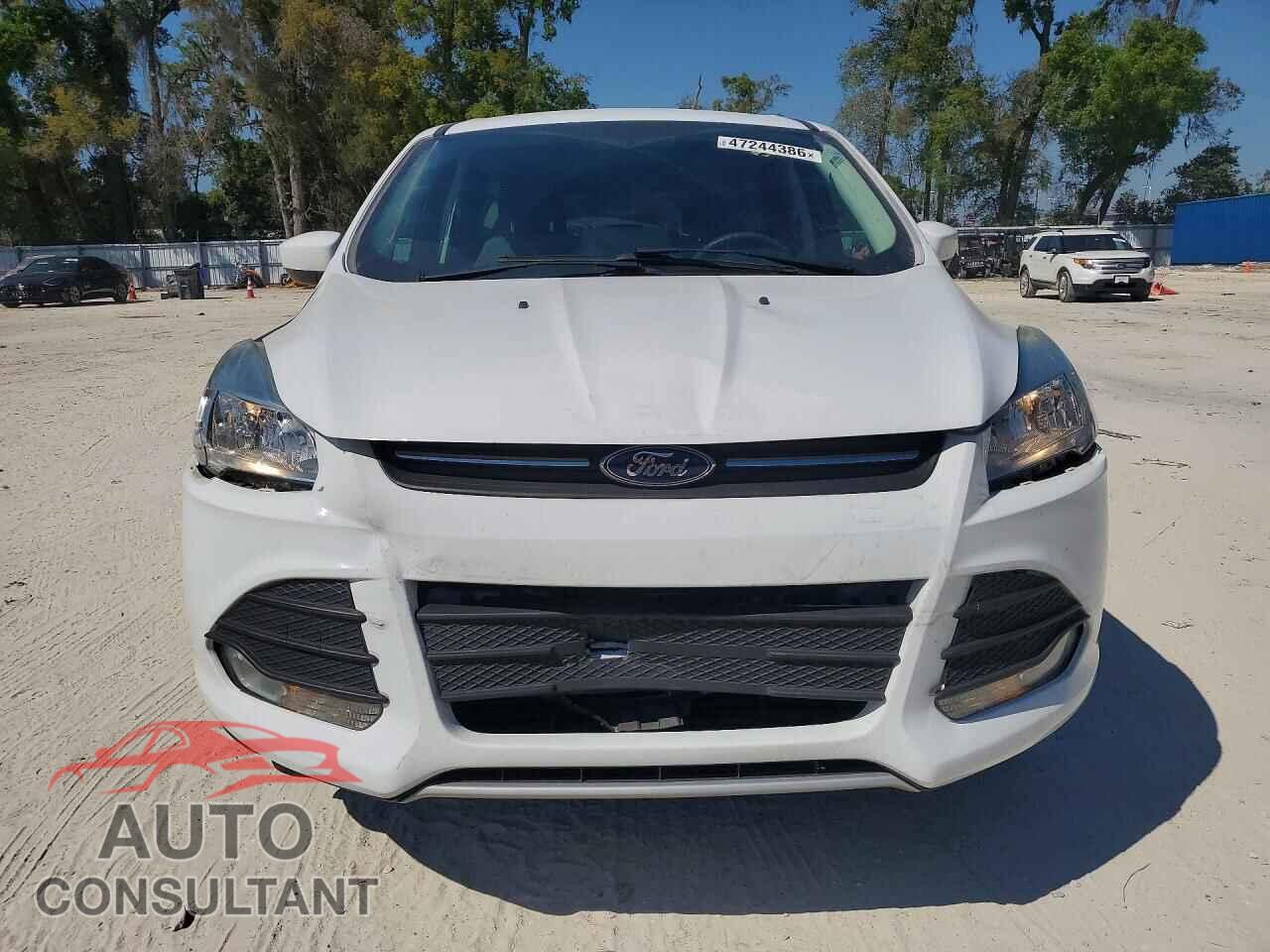 FORD ESCAPE 2014 - 1FMCU0GX4EUD41966
