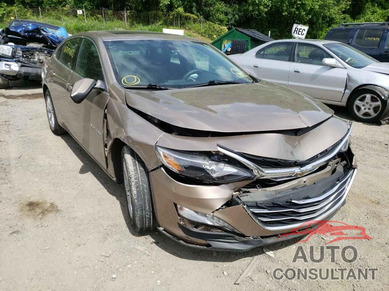 CHEVROLET MALIBU 2019 - 1G1ZD5ST2KF136431