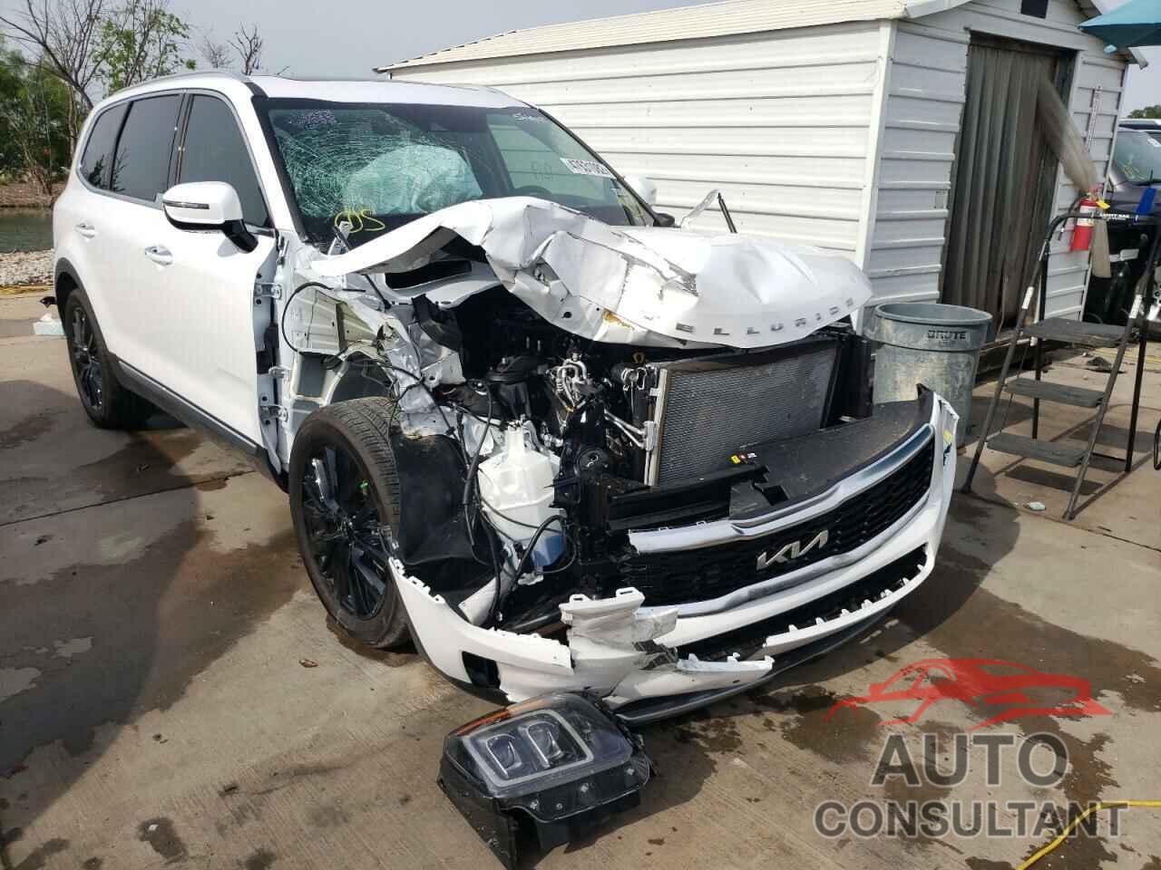 KIA TELLURIDE 2022 - 5XYP5DHC0NG261491