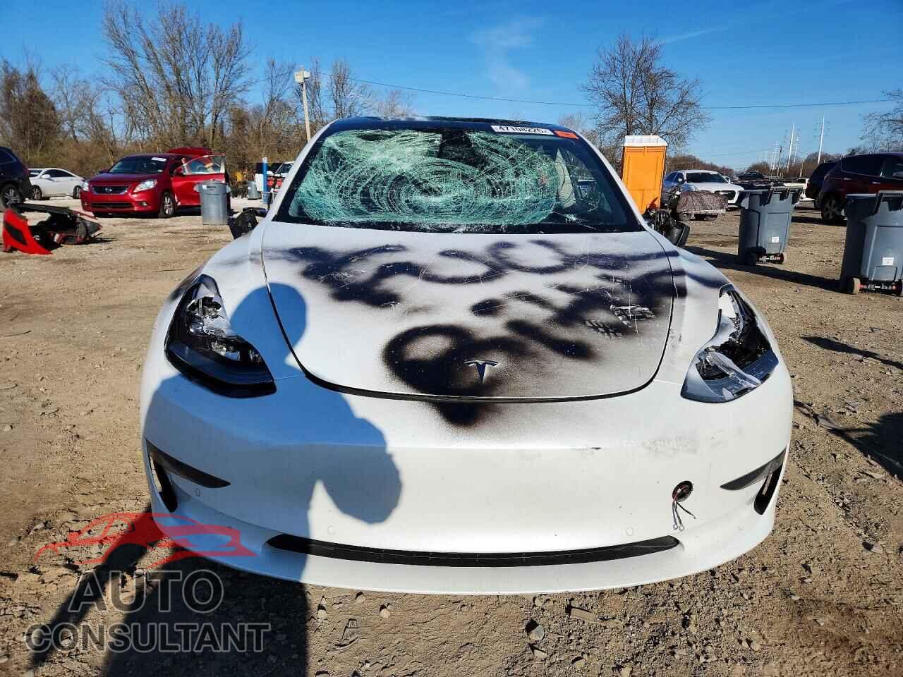 TESLA MODEL 3 2021 - 5YJ3E1EA5MF987062
